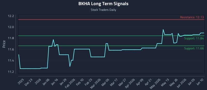 BKHA Long Term Analysis for June 11 2026 BKHA Long Term Analysis for June 11 2026