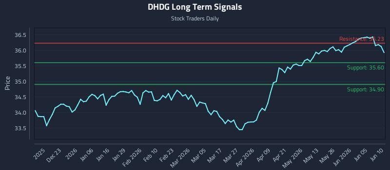 DHDG Long Term Analysis for June 11 2026