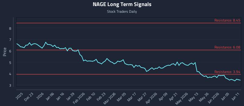 NAGE Long Term Analysis for June 11 2026 NAGE Long Term Analysis for June 11 2026