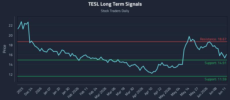 TESL Long Term Analysis for June 12 2026