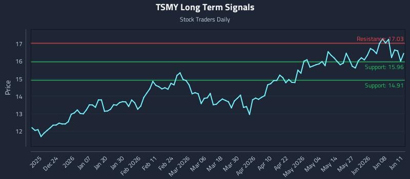 TSMY Long Term Analysis for June 12 2026 TSMY Long Term Analysis for June 12 2026
