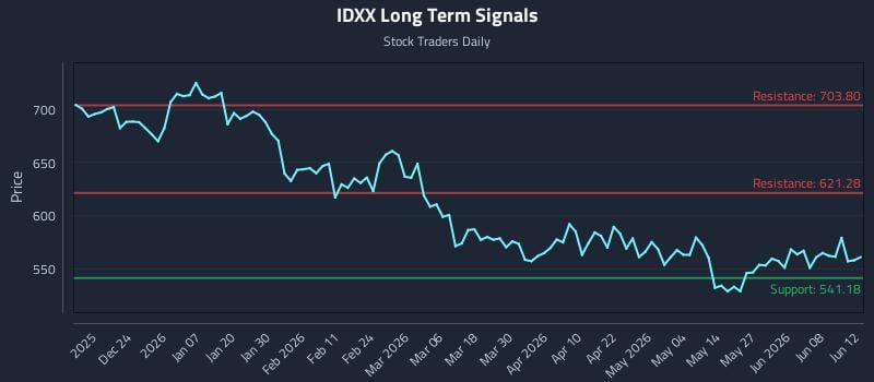 IDXX Long Term Analysis for June 13 2026