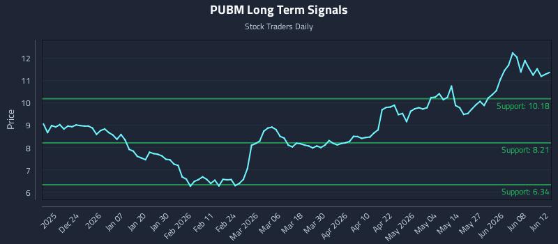 PUBM Long Term Analysis for June 13 2026