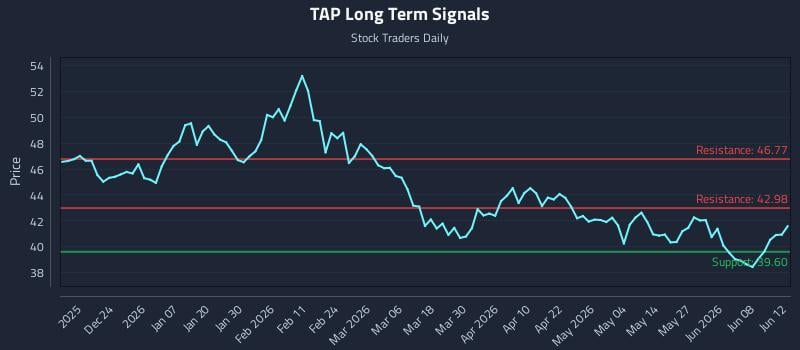 TAP Long Term Analysis for June 13 2026 TAP Long Term Analysis for June 13 2026
