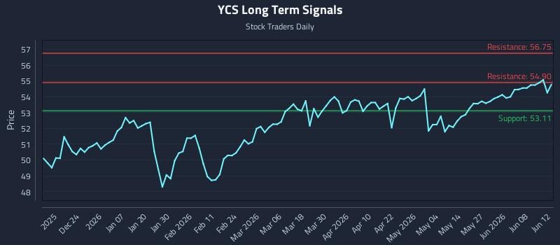 YCS Long Term Analysis for June 13 2026