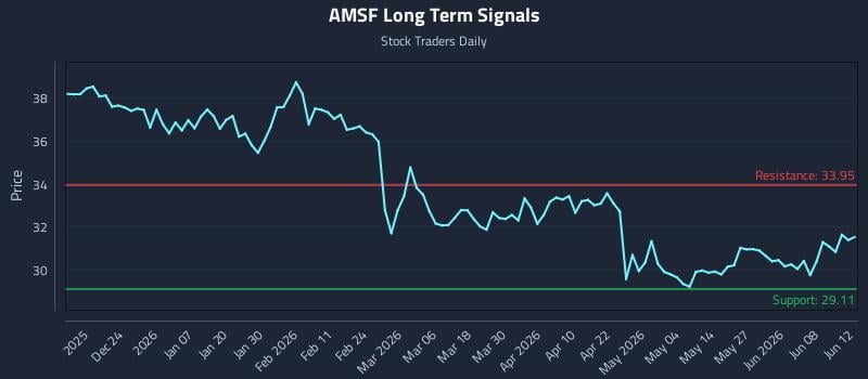 AMSF Long Term Analysis for June 13 2026