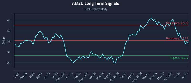 AMZU Long Term Analysis for June 13 2026