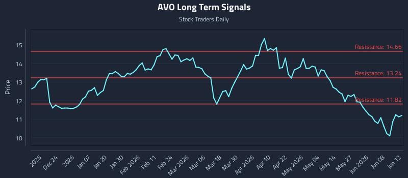 AVO Long Term Analysis for June 13 2026