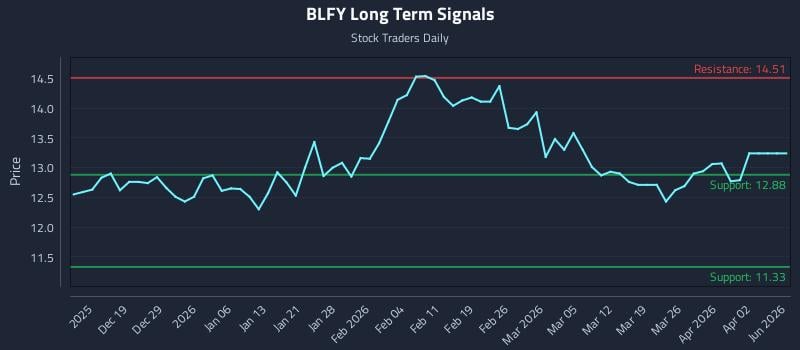 BLFY Long Term Analysis for June 14 2026