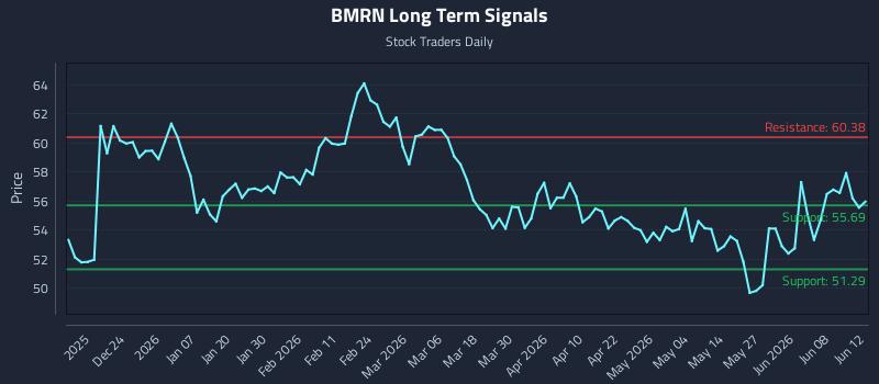 BMRN Long Term Analysis for June 14 2026