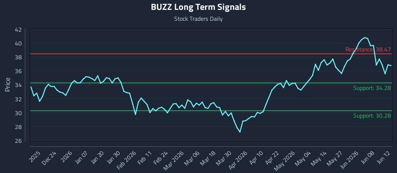 BUZZ Long Term Analysis for June 14 2026