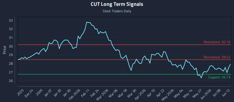 CUT Long Term Analysis for June 14 2026