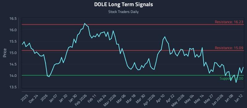 DOLE Long Term Analysis for June 14 2026