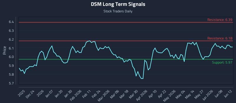 DSM
