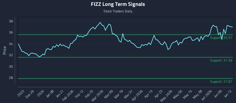 FIZZ Long Term Analysis for June 15 2026 FIZZ Long Term Analysis for June 15 2026