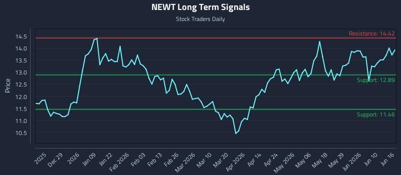 NEWT Long Term Analysis for June 16 2026