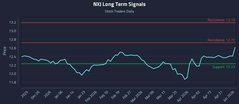 NXJ Long Term Analysis for June 17 2026