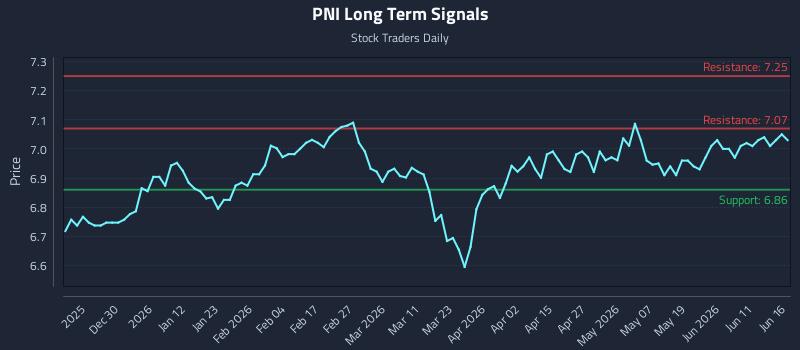 PNI Long Term Analysis for June 17 2026 PNI Long Term Analysis for June 17 2026