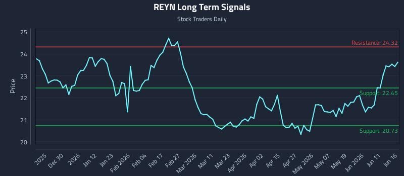 REYN Long Term Analysis for June 17 2026