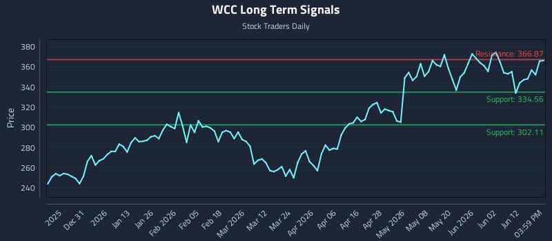 WCC Long Term Analysis for June 18 2026