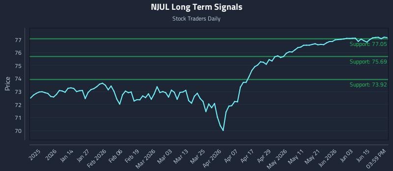 NJUL Long Term Analysis for June 19 2026 NJUL Long Term Analysis for June 19 2026