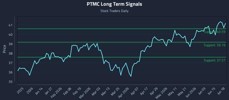 PTMC Long Term Analysis for June 19 2026