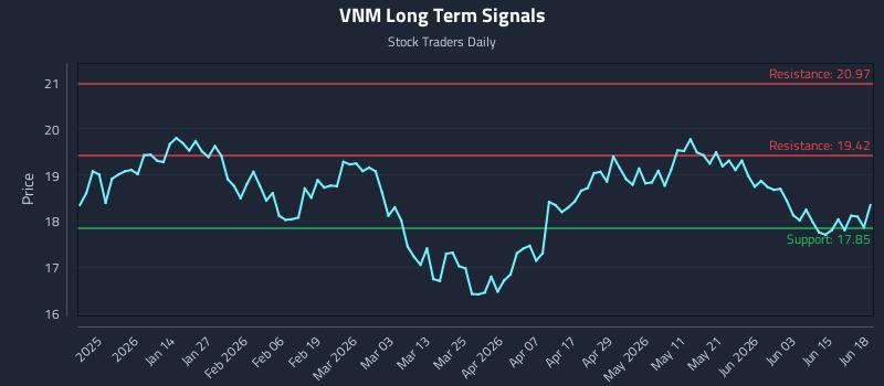 VNM Long Term Analysis for June 19 2026 VNM Long Term Analysis for June 19 2026