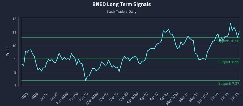 BNED Long Term Analysis for June 19 2026