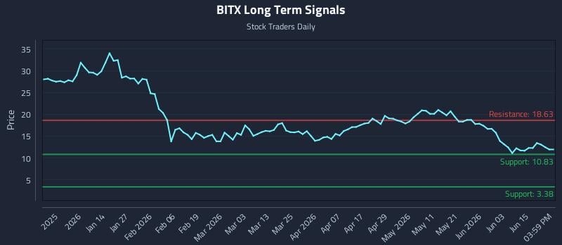 BITX Long Term Analysis for June 20 2026