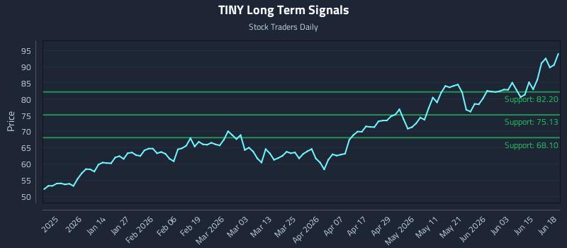 TINY Long Term Analysis for June 20 2026