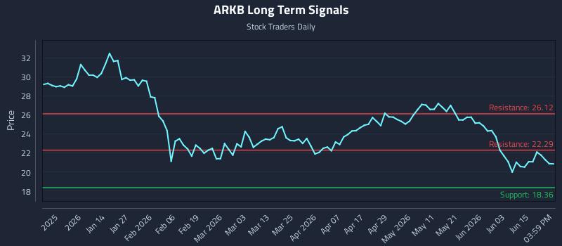ARKB Long Term Analysis for June 20 2026