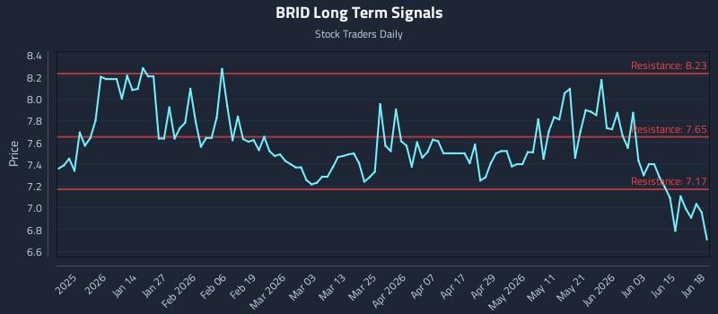 BRID Long Term Analysis for June 20 2026 BRID Long Term Analysis for June 20 2026