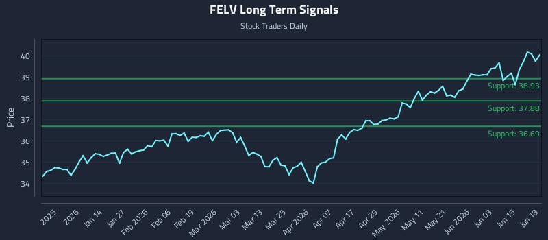 FELV Long Term Analysis for June 20 2026 FELV Long Term Analysis for June 20 2026