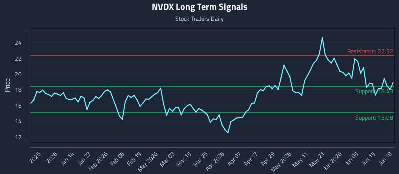 NVDX Long Term Analysis for June 20 2026