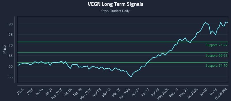 VEGN Long Term Analysis for June 21 2026 VEGN Long Term Analysis for June 21 2026