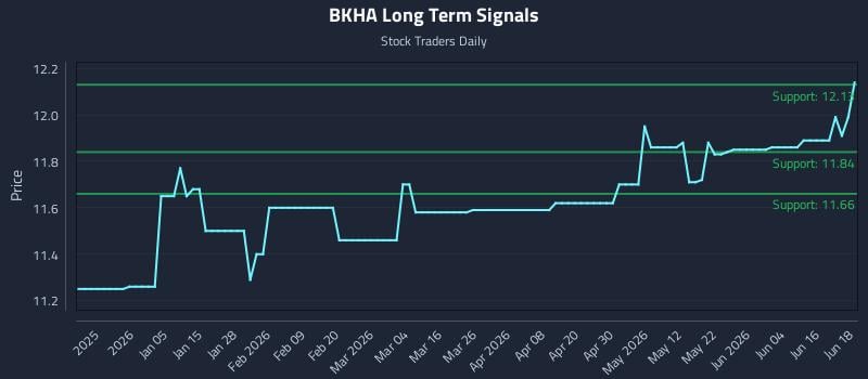 BKHA Long Term Analysis for June 22 2026