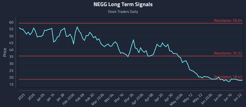 NEGG Long Term Analysis for June 22 2026