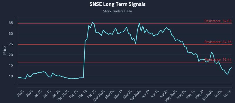 SNSE Long Term Analysis for June 23 2026
