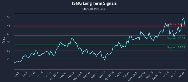 TSMG