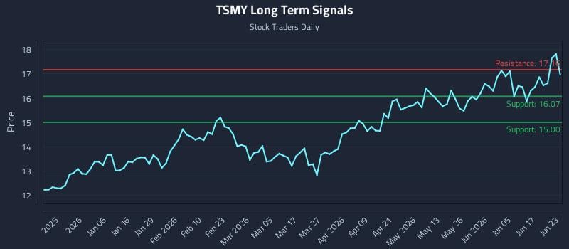 TSMY Long Term Analysis for June 23 2026 TSMY Long Term Analysis for June 23 2026