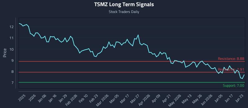 TSMZ Long Term Analysis for June 23 2026