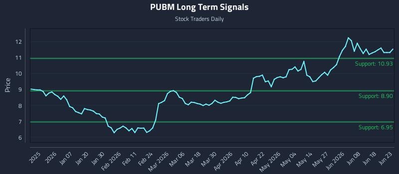 PUBM Long Term Analysis for June 24 2026 PUBM Long Term Analysis for June 24 2026