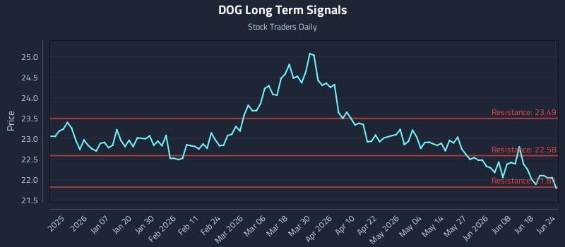 DOG Long Term Analysis for June 24 2026