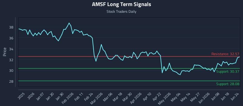AMSF Long Term Analysis for June 24 2026