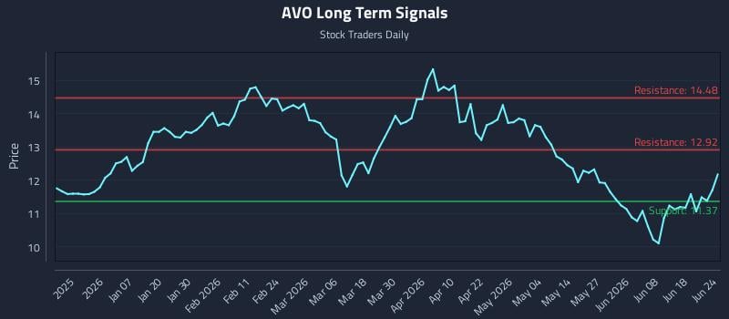 AVO Long Term Analysis for June 24 2026