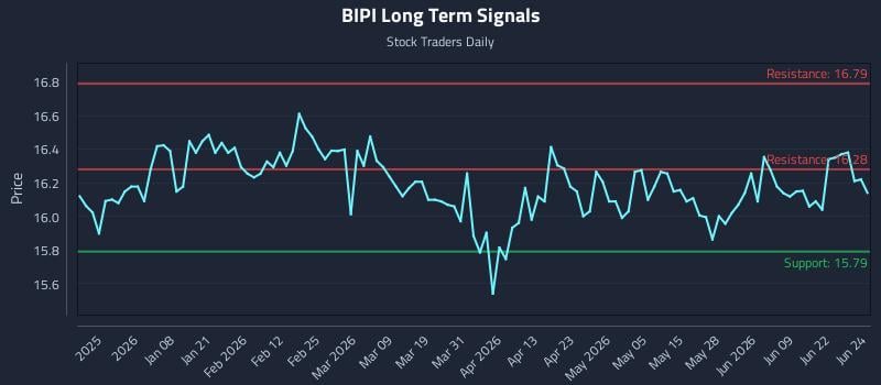 BIPI Long Term Analysis for June 25 2026