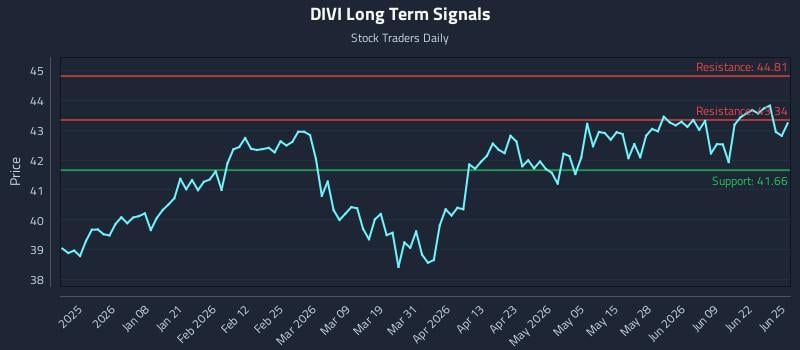 DIVI