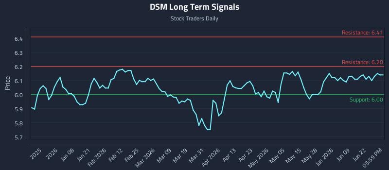 DSM