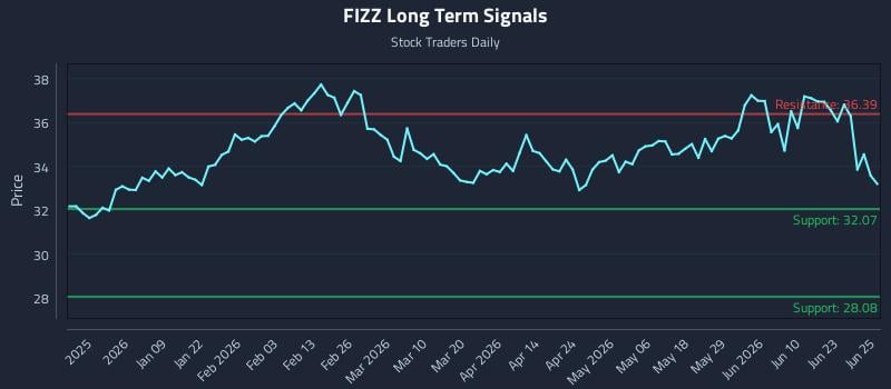 FIZZ Long Term Analysis for June 26 2026
