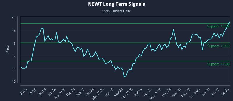 NEWT Long Term Analysis for June 27 2026 NEWT Long Term Analysis for June 27 2026